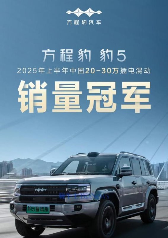比亚迪方程豹豹5稳坐上半年20-30万插混销量冠军