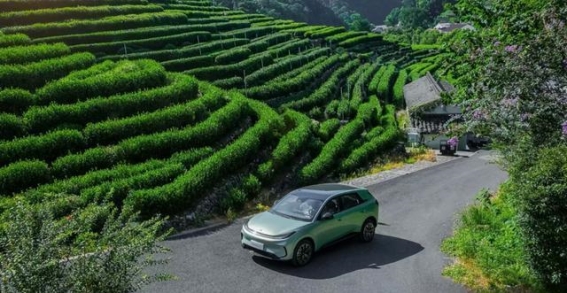 极狐T1：智能与舒适的家庭出行新标杆