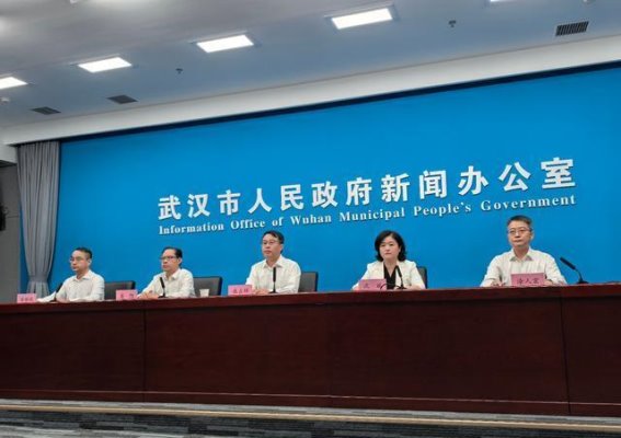 2025武汉国际车展：智联引领，驾趣启程