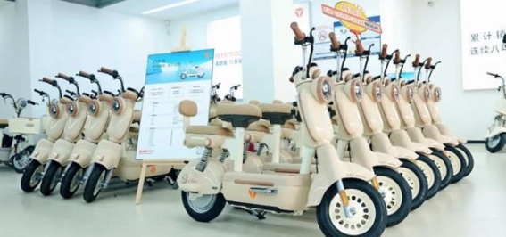 新国标电动自行车的市场变动与价格波动分析
