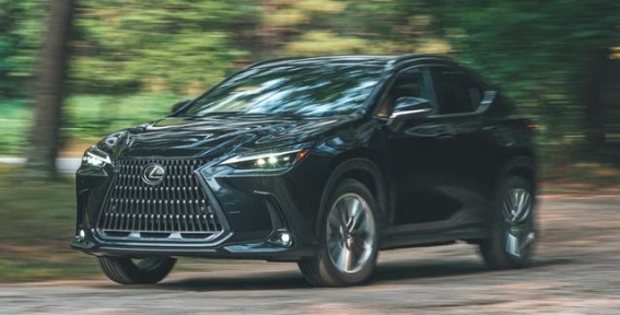 丰田卡罗拉Cross霸屏市场：一季度销量超万，领先对手两倍