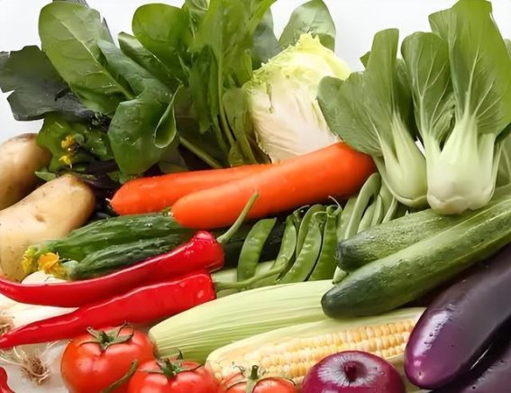 中年男性必吃的四大水产，泥鳅与鳝鱼功效揭秘