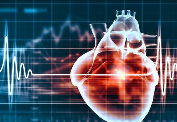 冬季戴帽子的健康益处：7大身体变化你意想不到