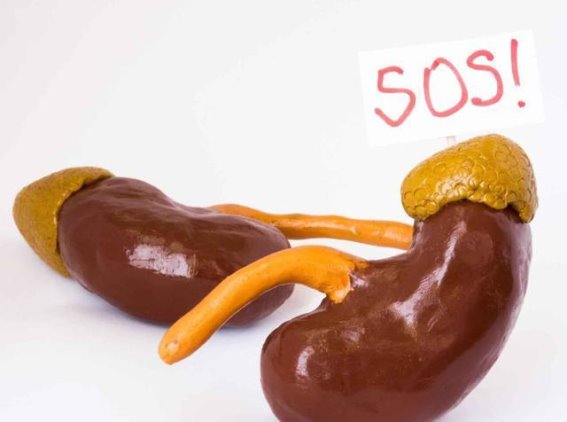 肾脏悄悄报警的六大信号，你是否忽视了身体的求救