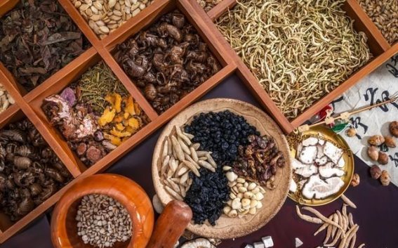 张锡纯与敦复汤：调和下焦阳虚的中医智慧