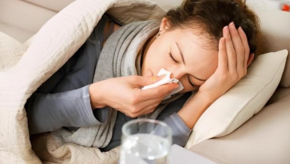 基孔肯雅热的四大共性与感染风险，你知道吗？