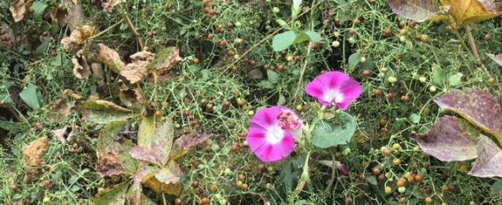 三息养生法：身心的自然调养之道