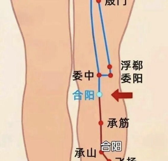 合阳穴：缓解腰腿不适的“关键调理点”
