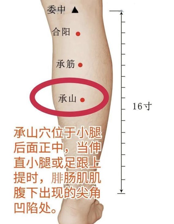 承山穴：疏通经络，缓解小腿不适的必备穴位