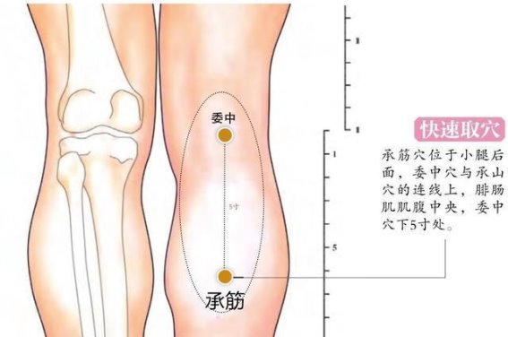 承筋穴：小腿不适的有效调理法