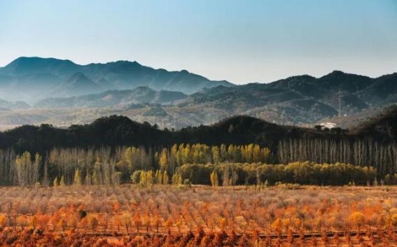 长假后恢复体力与精力，试试中医调理