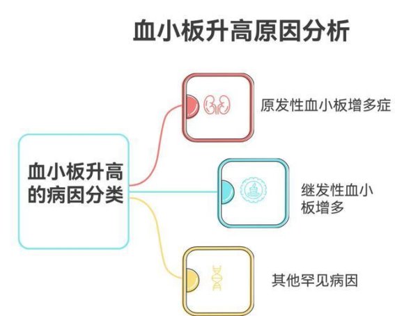 血小板升高患者的麻醉管理策略：如何应对出血与血栓的双重风险