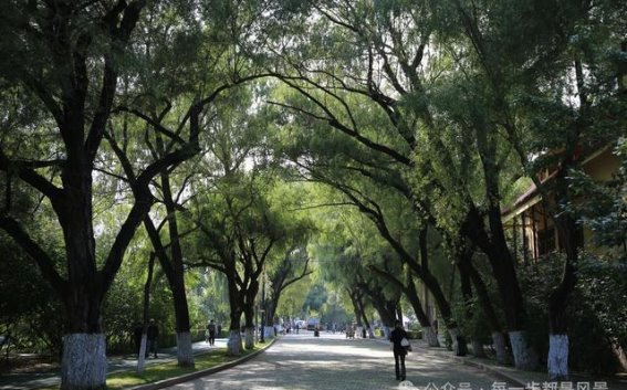 太极三重境：以意诚、气柔、神凝修炼自在人生