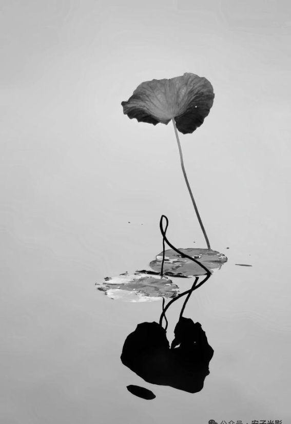 站桩五步养心法：从脚底养出一身从容