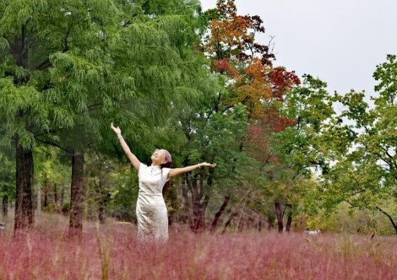 寒露时节的养生之道：品味秋天的宁静与温暖