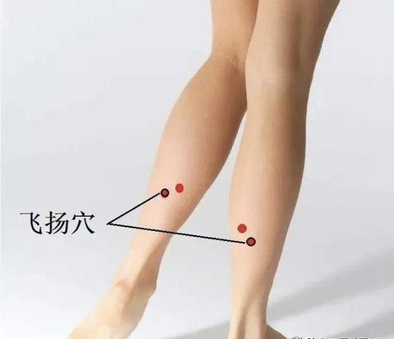 飞扬穴：腰背通络的关键，调理下肢不适的“小能手”