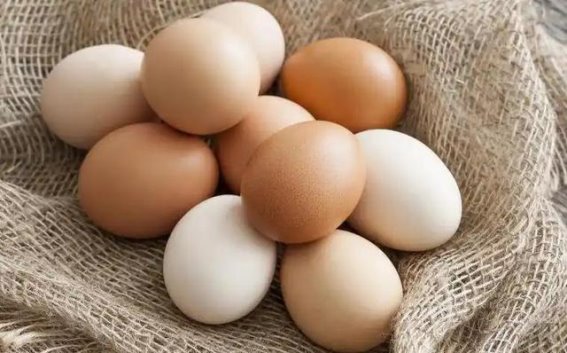 肾病患者饮食误区：这些食物该少碰，科学护肾才是关键