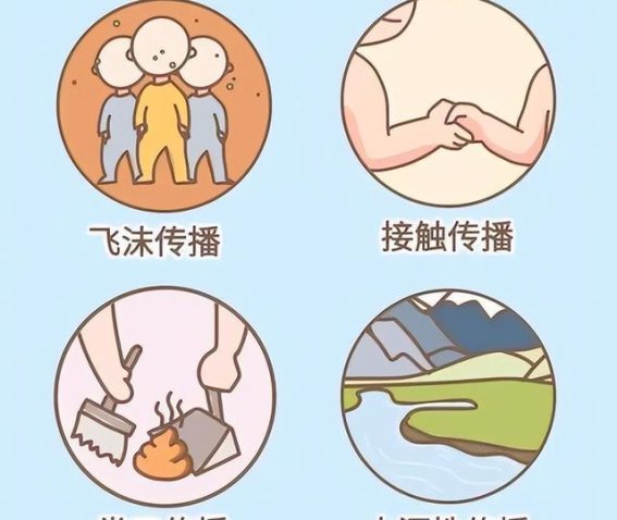 朊病毒的恐怖真相：致命且无法治愈的致命病原体