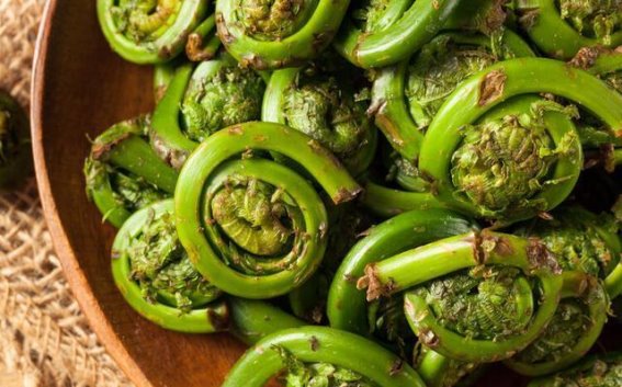 3种蔬菜真的致癌？你必须知道的真相