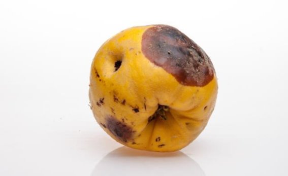 水果“致癌”传言真相大揭秘，健康食用才是王道