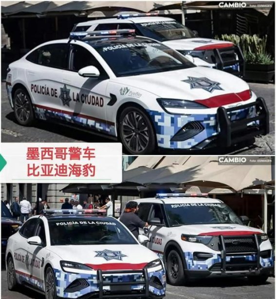 比亚迪开启全球公务车新时代，中国品牌的崛起与挑战