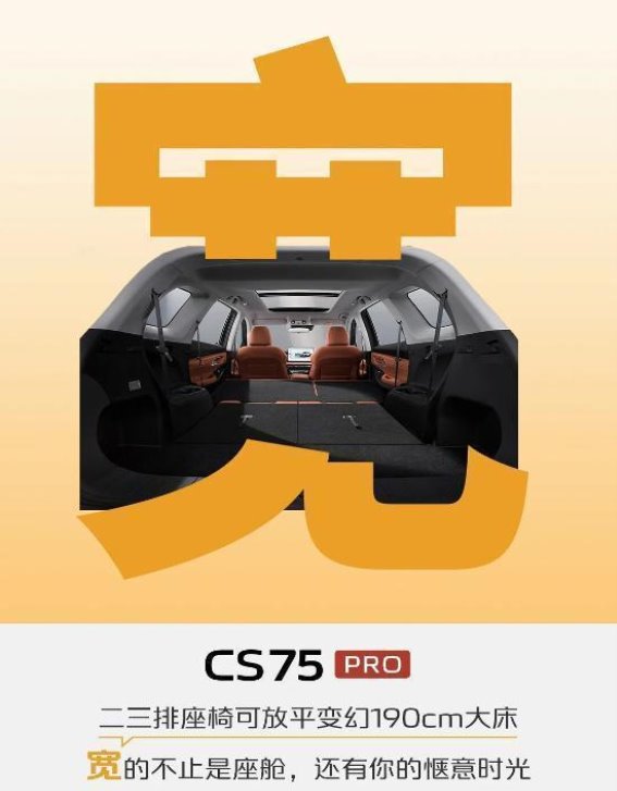 大七座CS75PRO丨一笔一划，勾勒美好生活，补贴后7.59万起！