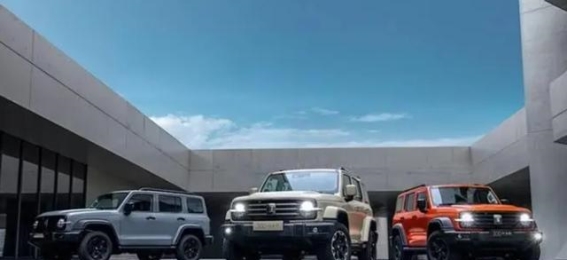 坦克300极地版：专为极限环境打造的越野利器