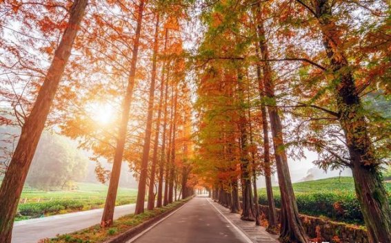 北汽蓝谷的孤独与挑战：指数上涨下的沉寂