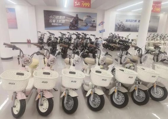 新国标电动自行车市场观察：过渡期的青黄不接与理性选择