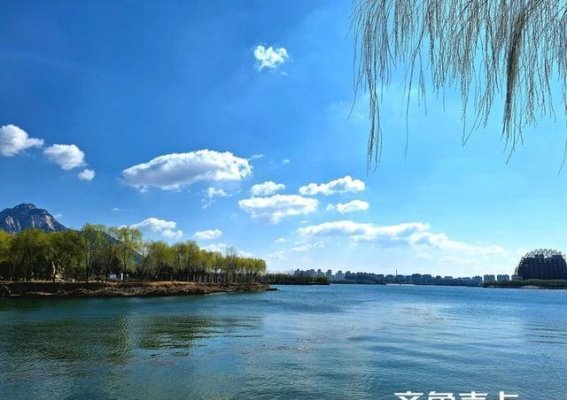 春日暖阳，泰安天平湖的春天交响曲