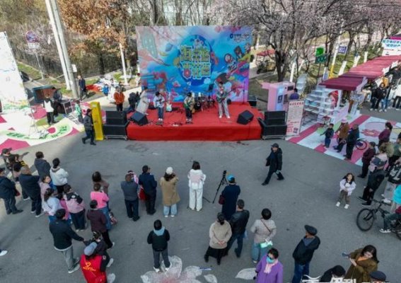 春日伊宁市：杏花如云，海棠路上醉游人