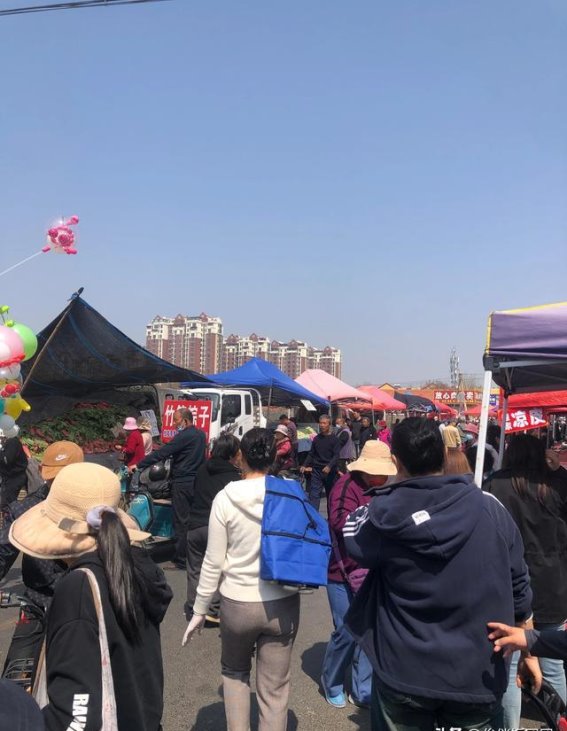 法海寺与源头集市的千年文化对话