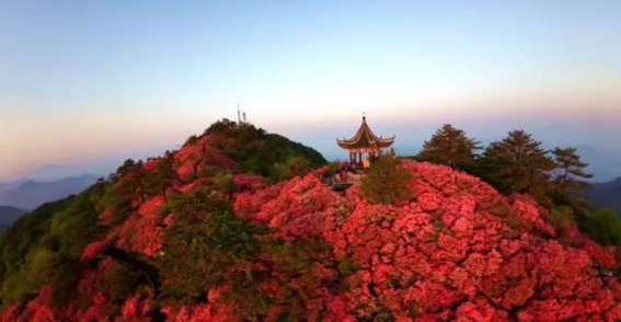 龟山的红杜鹃与山水奇景