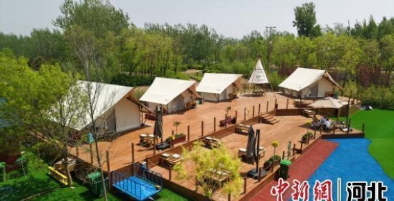 河北阜城探索“旅游+露营”发展新模式 促进文旅融合