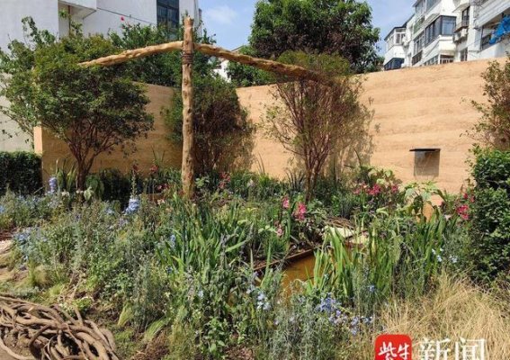 街角的春日奇迹：荒地蜕变成市民休闲花园