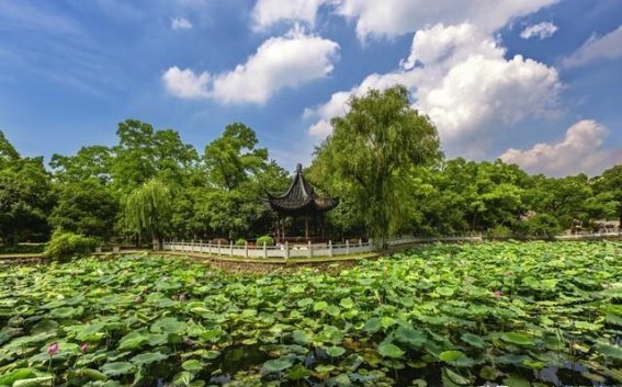 江南水墨中的三绝奇观：亭林园的旷世美景