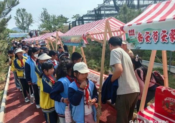 泰山喊茶民俗活动：茶香满山，文化迎春