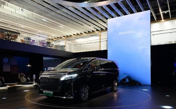 国产高端MPV市场新风向：魏牌、极氪、理想、岚图的全面竞争