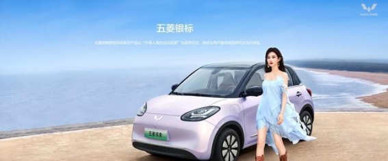 新能源车市分化突显：低价车狂飙，新势力退潮