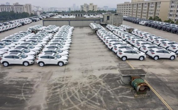 深入探索汽车模型的魅力与品牌差异