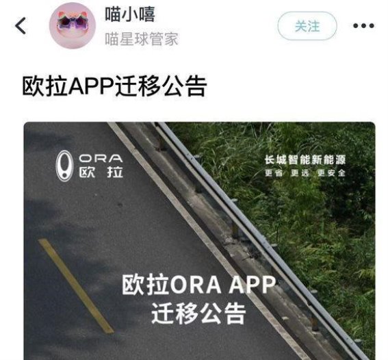 从粉色神话到硬核转型，欧拉品牌能否走出低谷再启新程？