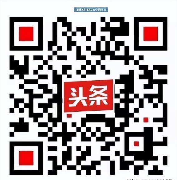 长城汽车的电池野心：从技术创新到市场布局的深度解析