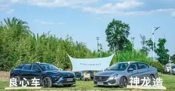 凡尔赛C5X与2025款408X对比分析：谁更符合你的需求？