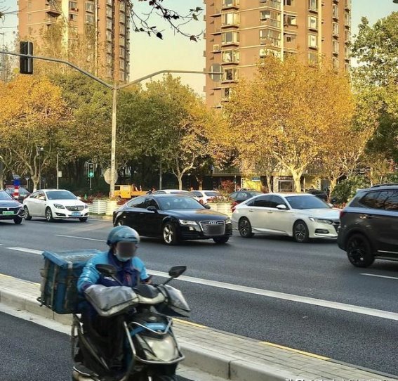 中国车市冷热地图：南方新能源热，北方SUV稳