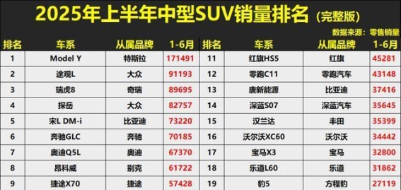 2025年上半年中型SUV市场：新能源车型突围，燃油车承压