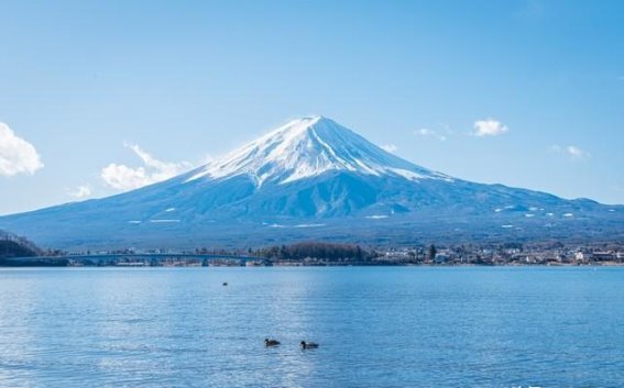 丰田引领未来：从固态电池到L4自动驾驶的全方位革新