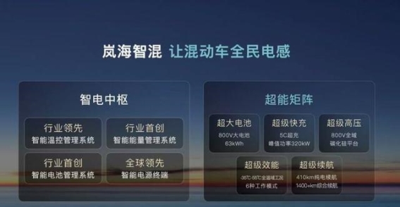 岚图汽车：从技术创新到市场突破的全新进化之路