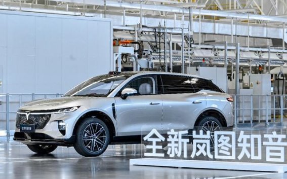 东风集团战略转型：岚图汽车上市与私有化的双重布局