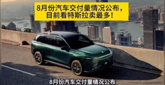 8月车市风云：特斯拉稳居榜首，国产品牌大放异彩