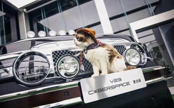 iCAR的差异化战略：如何通过“特色车”破局新能源市场